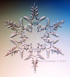 a snowflake is shown in the shape of a star