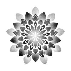 a black and white flower on a white background