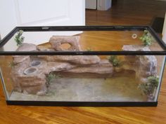 a fish tank filled with rocks and plants on top of a hard wood floor next to a door