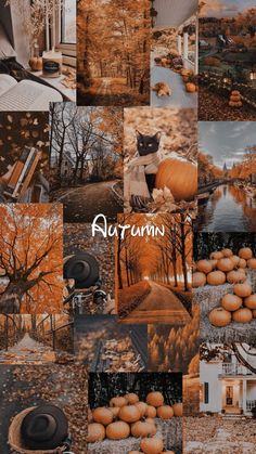 a collage of photos with pumpkins and trees