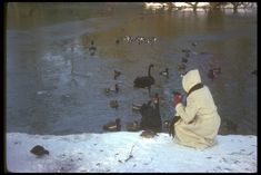 a person sitting in front of a pond filled with ducks