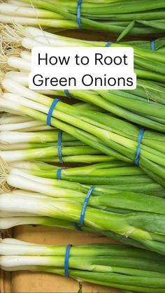 green onions are stacked on top of each other with the words how to root green onions