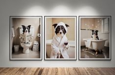 three pictures of dogs in bathrobes hanging on the wall next to a toilet