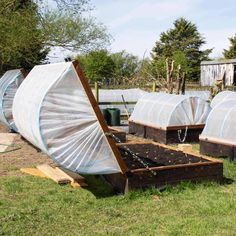 several small greenhouses with plants growing in them and attached to the sides of each other