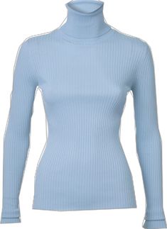 Elegant Fitted Turtleneck With Ribbed Neckline, Fitted Sweater With Seamless Collar For Work, Classic Fitted Sweater With Ribbed Neckline, Elegant Stretch Turtleneck With Ribbed Collar, Elegant Fitted Top With Ribbed Collar, Elegant Fitted Turtleneck With Ribbed Cuffs, Trendy Fitted Sweater With Ribbed Collar, Fitted Ribbed Sweater For Work, Elegant Blue Ribbed Sweater