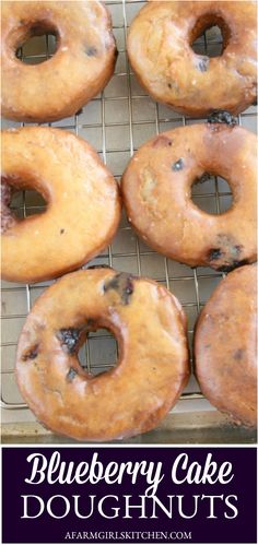 blueberry cake doughnuts on a cooling rack with the words, blueberry cake doughnuts