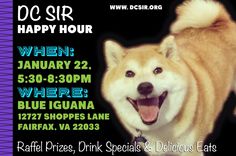 a poster for a dog show with an image of a shiba in the background