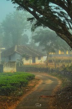 Kerala Village Photography, South Indian Village, Indian Scenery, Photography Ideas Nature, Nature Photography Ideas, Moving Train, Nature Photography Trees, Nature Photography Tips, Art Village