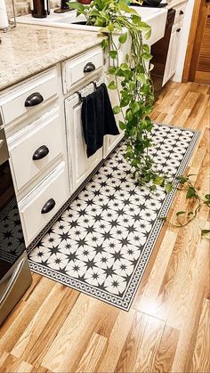 a kitchen with a potted plant on the floor