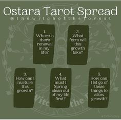 the four stages of taratoot spread in front of a circle with words on it