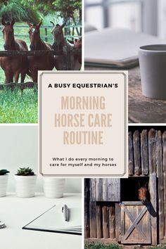 the cover of a book with pictures of horses and coffee mugs on it, along with text that reads a busy equestrian's morning horse care routine what i do every morning