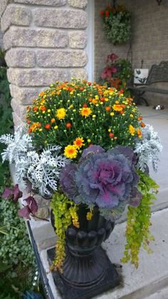 an arrangement of flowers in a black vase on the steps next to some plants and flowers