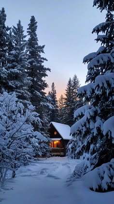 Outdoor Winter Aesthetic, Winter Time Aesthetic, Snowy Cabin In The Woods, Winter Season Images, Winter Cabin Aesthetic, Winter Season Aesthetic, Winter Vibes Aesthetic, Girls Ski Trip