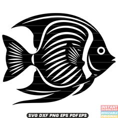 a black and white image of a fish with stripes on it's side, in the