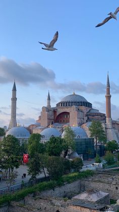 two birds flying over a large building in the middle of a city with tall spires