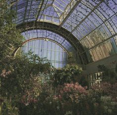 the inside of a building with many windows and plants