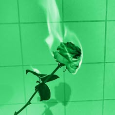 a single flower that is sitting in the middle of a tile wall with green lighting