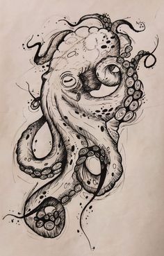 an ink drawing of an octopus on paper