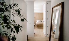 a mirror sitting on the side of a white wall next to a plant in a vase