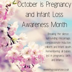 Baby Loss Awareness Month: Breaking the silence surrounding miscarriage, compassionate induction, stillbirth and infant death. Remembering all babies lost in pregnancy, birth and infancy. Baby Loss Awareness Month, Babyloss Awareness, Baby Loss Awareness