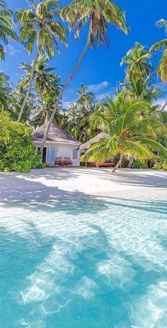 the beach is surrounded by palm trees and blue water, with a hut in the background