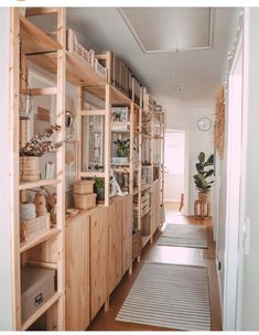 a long narrow hallway with wooden shelves and plants on the far wall, along with an area rug