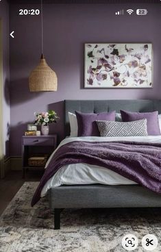 a bedroom with purple walls and bedding in the center, along with an area rug on the floor