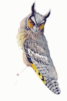 KARL MARTENS
LONG-EARED OWL
Watercolour on Arches 640gsm paper
29 1/2 x 20 7/8 in
75 x 53 cms
Signed Owl Flying, Watercolour Bird, London Gallery, Long Eared Owl, Owl Watercolor, Owl Artwork, Eagle Owl