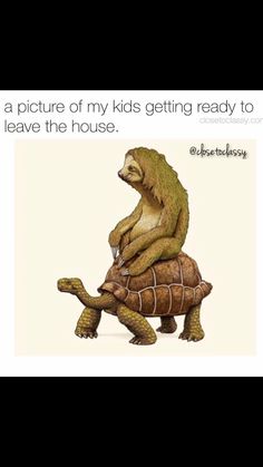 a slotty sitting on top of a tortoise with the caption'a picture of my kids getting ready to leave the house '