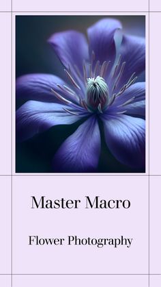 a purple flower with the words master macro on it's front and bottom corner