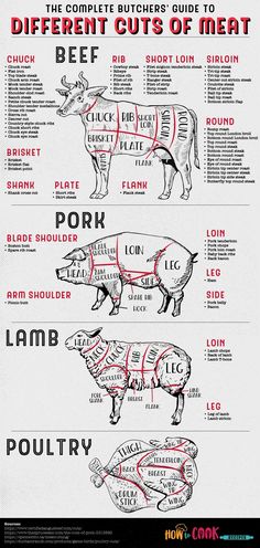 the butcher's guide to different cuts of meat