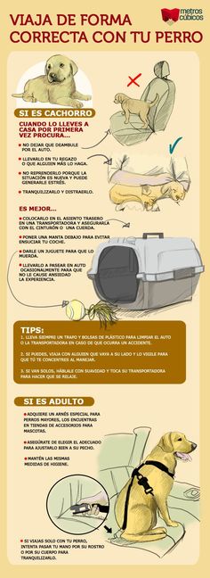 a poster with instructions on how to use a pet carrier in the car or truck