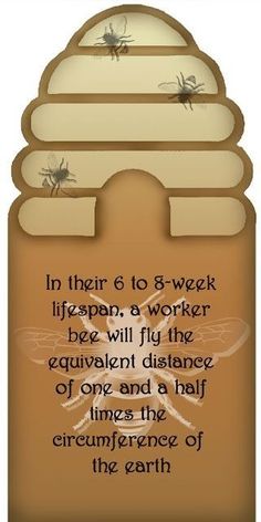 an image of a quote about bees in their 6 - week life span, a worker bee will fly the aquarium distance of one and half times the circumference of the