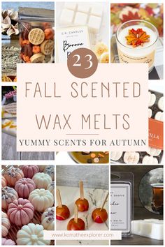 the top 25 fall scented wax melts for autumn