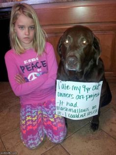 Dog Shaming Pictures, Dog Shaming Photos, Dog Shaming Funny, Animal Shaming, Dog Shaming, Game Mode, Bd Comics, Bad Dog, Funny Animal Memes