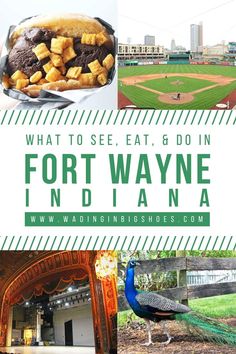 what to see, eat, and do in fort wayne nd iaanaa