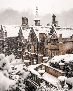 snow covered buildings and trees in front of them with lots of snow on the ground