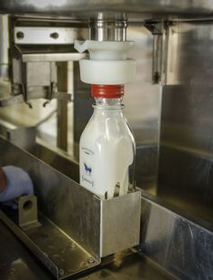 a glass bottle with a red cap sitting on top of a metal counter