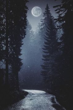 a dark forest with trees and a full moon in the sky above it is an empty road surrounded by tall pine trees