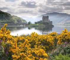 a castle sitting on top of a lush green hillside next to a body of water