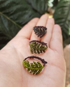 three small green leaves are in the palm of someone's hand, with some brown string