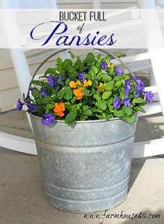 Bucket Full Of Pansies - FARMHOUSE 40 Do It Yourself Decoration, Spring Planter, Spring Porch Decor, Planter Project, Pansies Flowers, Container Gardens, Flowers Garden, Container Plants, Shade Garden