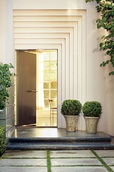 two potted plants are sitting on the steps in front of an entrance to a house