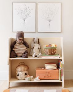 there is a stuffed animal on the shelf next to two pictures and a basket full of books