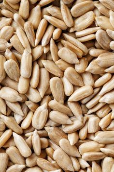 closeup of sunflower seeds in a square frame