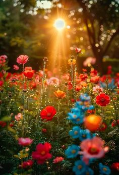 the sun shines brightly through some colorful flowers