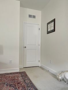 a white cat is standing in front of a door and rug on the floor next to it