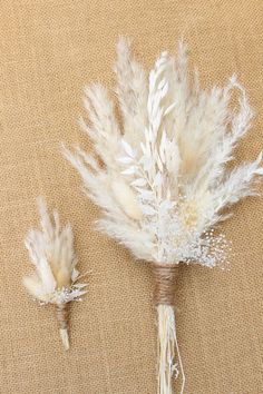 some white feathers are on a brown cloth