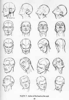 the head and shoulders of an adult male with different facial expressions, from front to back