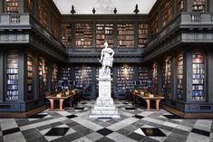 the library has many bookshelves and statues in it